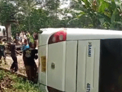 Bus Damri Terguling di Desa Tegalega Natar, Lampung Selatan