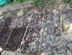 Warga Desa Kembangsari Situbondo Soroti Pengerjaan Proyek Rabat Beton