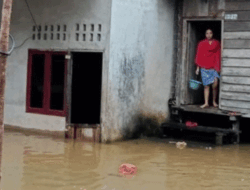 Dua Desa di Kabupaten Sanggau, Kalimantan Barat Terendam Banjir, Diminta Semua Pihak Waspada