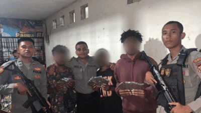 Bawa 12 Plastik Ganja Siap Edar, Tiga Pemuda Dibekuk Polisi di Dok V Distrik Jayapura Utara