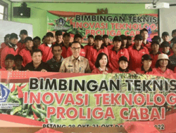 Tingkatkan Produksi Guna Penuhi Kebutuhan, Petani Cabai di Badung Dilatih Teknik Proliga