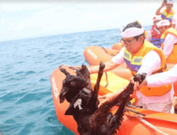 Wujud Syukur Atas Sukses dan Lancar KTT G20, Pemkab Badung Laksanakan Mapekelem di Pantai Geger