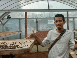 Mengejutkan, Biji Kopi Brebes Jenis Arabika Diekspor Perdana ke Polandia