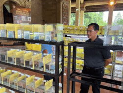 Bali Betta Final Battle Betta Competitions 2022, Bangkitkan Minat Penghobi Ikan Air Tawar