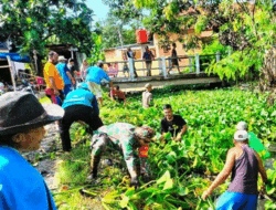 Antisipasi Banjir, Warga Pasarbatang, Brebes Bersihkan Eceng Gondok di Saluran Buang