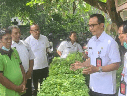 Perkuat Ketahanan Pangan dan Antisipasi Kenaikan Harga Cabai, Badung Dorong Prorgam Matanabe