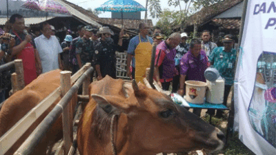 Pemenuhan Daging Sapi dan Ketahanan Pangan Nasional, Dorong Program Sapi Jabres