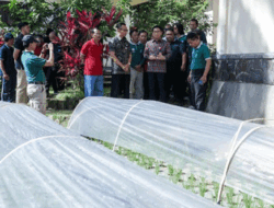 Jadikan Pertanian Sektor Unggulan Badung, Sekda Adi Arnawa Dorong Optimalisasi BBU