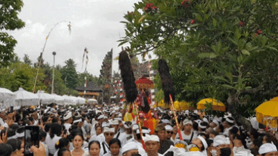 Sebanyak 12 Ribu Orang Ikuti Upacara Pengepikan Desa Adat Tegal, Kecamatan Abiansemal, Badung