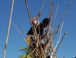 Diyakini Tolak Bala dan Pengusir Roh Jahat, Tradisi Mekotek Rutin Digelar Warga Munggu, Badung
