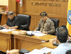 Potensi UMKM, Industri Kreatif dan Pertanian Ingin Lebih Digali Guna Optimalisasi Pendapatan Daerah