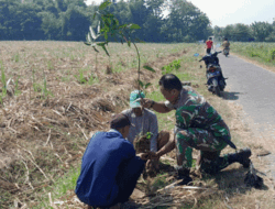 Gerakan Reboisasi, Babinsa Desa Grogol, Kecamatan Diwek, Jombang Ajak Masyarakat Peduli Lingkungan