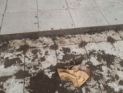 Proyek Rehabilitasi SMAN 3 Rejang Lebong Disinyalir Bermasalah, Ini Jawaban Kepala Sekolah