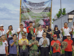 Dinas Pertanian Badung Panen Bawang Merah Hasil Demplot di Subak Sengempel