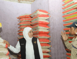 Masifkan Operasi Pasar, Gubernur Jawa Timur Pastikan Distribusi Beras Lancar dan Harga Kembali Normal