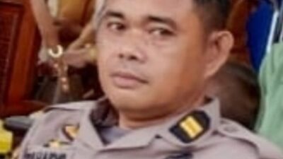 Sebuah Ladang Ganja di Bontojai, Bone Digrebek Polda&nbsp; Sulsel, Ditemukan Tiga Titik