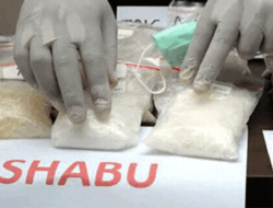 Disembunyikan dalam Kotak Buah, Sabu Seberat 40 Kilogram Berhasil Dibongkar Polisi