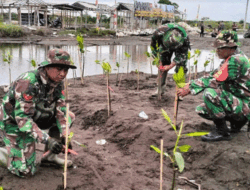 Upaya Menahan Laju Abrasi, Dandim 0713 Brebes Tanam Ribuan Bibit Mangrove di Pesisir Randusanga