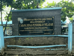 Disorot, Kinerja Kacabdin Tulungagung dan Trenggalek, Ormas LMP Surati Gubernur Jawa Timur