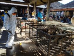 Antisipasi Virus Flu Burung Dinas Pertanian dan Pangan Badung Lakukan Gerakan Spraying