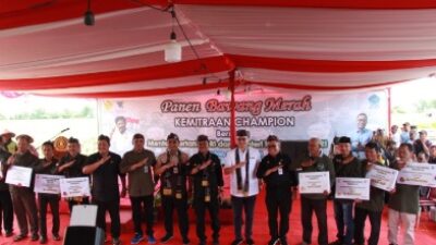 Pemkab Brebes Siap Pasok Bawang Merah Jelang Ramadhan dan Idul Fitri