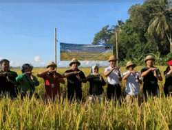 Awali Panen Raya, Pemkab Badung Gelar Panen Padi Nusantara Satu Juta Hektar di Subak Aban