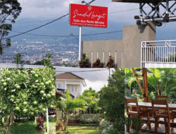 Dibuka Lagi, Sundullangit Cafe Wisata Petik Jeruk dan Strawberry, Kota Wisata Batu