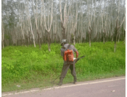 Telan Anggaran Rp1 Miliar, Pengerjaan Tebas Tebang Bayang Desa Sukoromoro, Sumsel Diduga Dimark Up