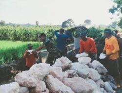 Permudah Pengairan Sawah, Babinsa Koramil 0812/23 Solokuro Kerja Bakti Pelebaran Saluran Irigasi