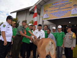Bantuan Bibit Sapi Unggul Pemprov Kalsel, Pj Bupati Batola : Perekonomian Bisa Lebih Bangkit