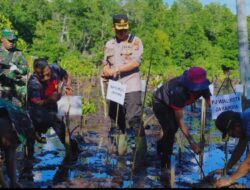 Sambut Hari Bhayangkara ke-77, Kapolresta Jayapura Kota bersama Wali Kota Tanam Pohon Manggrove