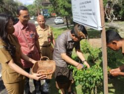 Sekda Badung Imbau Masyarakat Manfaatkan Lahan Pekarangan, Panen Perdana di Kebun Edukasi Matanabe