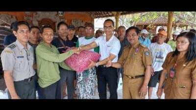 Sering Picu Inflasi, Kabupaten Badung Mulai Kembangkan Bawang Merah