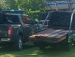 Usai Ditangkap Pemilik Kayu Dilepas, Begini Keterangan Gakumdu LH dan Kehutanan, Sumsel