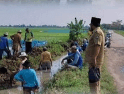 Upaya Pemerintah Desa Purwajaya, Kabupaten Indramayu Memajukan Pertanian