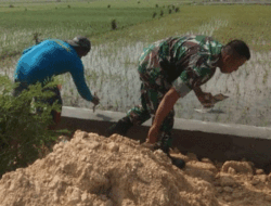 Upaya Tercapai Ketahanan Pangan Nasional, Babinsa Bantu Warga Sugio, Lamongan Perbaiki Irigasi