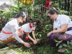 TP PKK Badung Tanam 200 Bibit Pohon Bunga di Tiga Pura di Kecamatan Petang