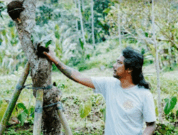 Cintai Alam Semesta, Ajik Tolet Populerkan Simbar Bali Melalui Good Plant Good Karma