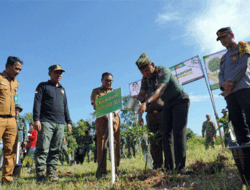 Pemkab Balangan Bersama Kodim 1001 Lakukan Tanam Pohon Serentak