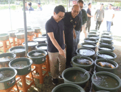 Kolaborasi Komunitas Ikan Mas Koki dan Skateboard Bali, Dihadiri Sekda Badung Adi Arnawa