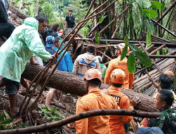 Personel Pos SAR Karangasem Tangani Bencana Tanah Longsor di Desa Tribuana, Bali