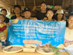 Luh Suriani Edukasi Pembuatan Teh Beras Merah Khas Senganan Tabanan