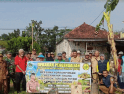 Gerakan Pengendalian OPT Wereng Batang Coklat, Wujudkan Komoditi Pangan di Lamongan