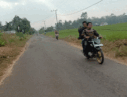 Puluhan Kilometer Jalan Wilayah Kecamatan Kota Padang hingga SBU Sudah Ditebas Bayang