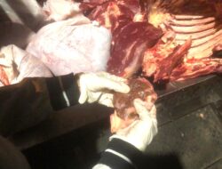 Pedagang Daging tanpa Dokumen di Surabaya Diproses Polisi