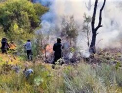 Karhutla Kawasan Gunung Arjuno Meluas, TNBTS Tutup Tiga Pintu Masuk Wisata Bromo
