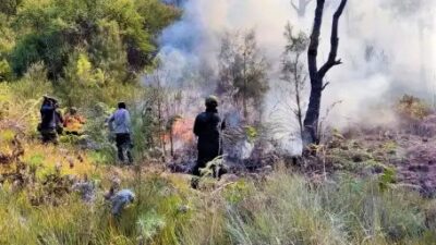 Karhutla Kawasan Gunung Arjuno Meluas, TNBTS Tutup Tiga Pintu Masuk Wisata Bromo