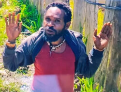 Ini Tampang Anggota KKB Ditangkap Satgas Yonif PR 330/TD di Sugapa