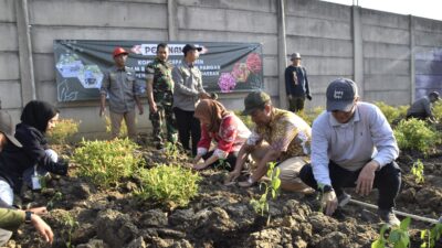 Kelompok Tani Urban dan Konvensional se-Surabaya Tanam Cabai Serentak