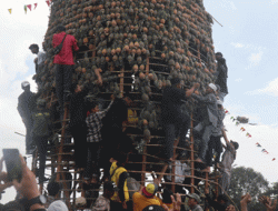 Pj Bupati Batola Canangkan Festival Nanas Mekarsari Even Kalender Tahunan Pariwisata